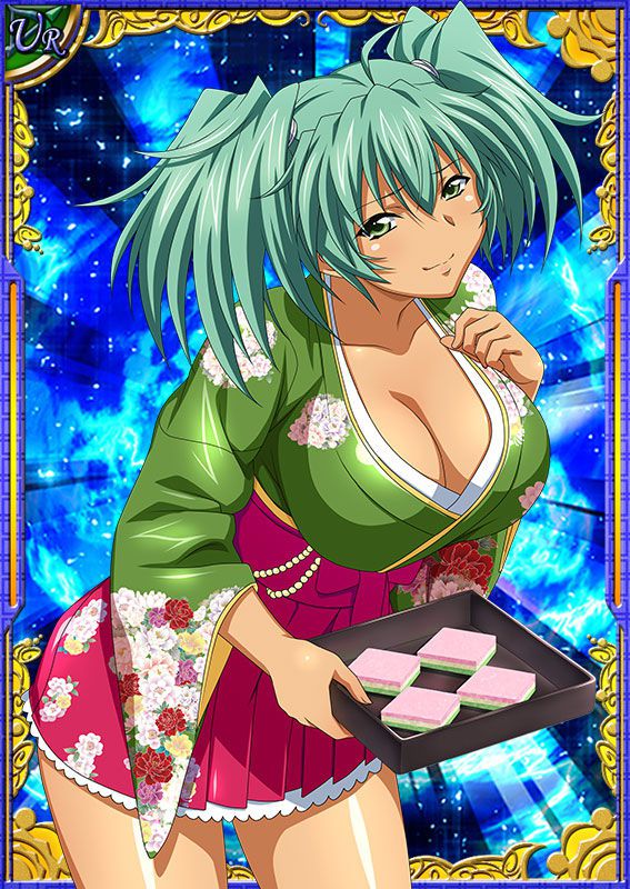 Ikkitousen Cards Coleccyion  Ryofu Housen set 455