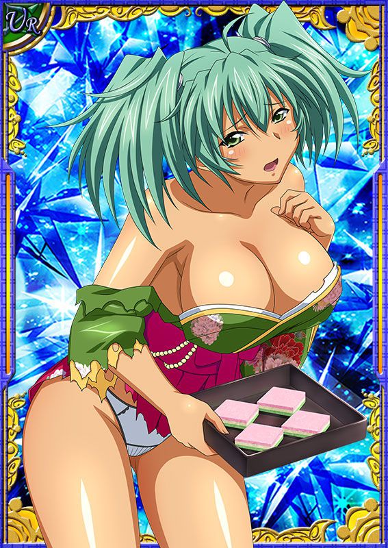 Ikkitousen Cards Coleccyion  Ryofu Housen set 456