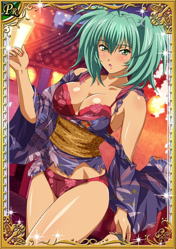 Ikkitousen Cards Coleccyion  Ryofu Housen set 46