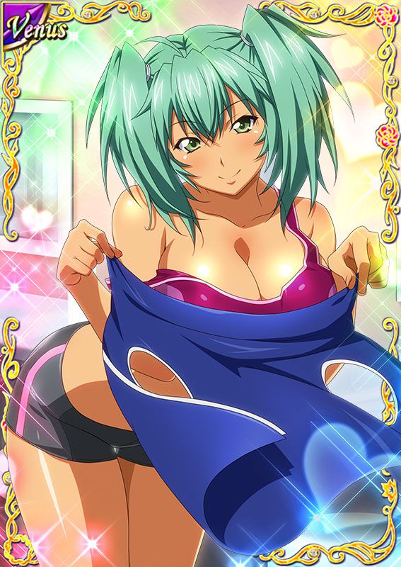 Ikkitousen Cards Coleccyion  Ryofu Housen set 460