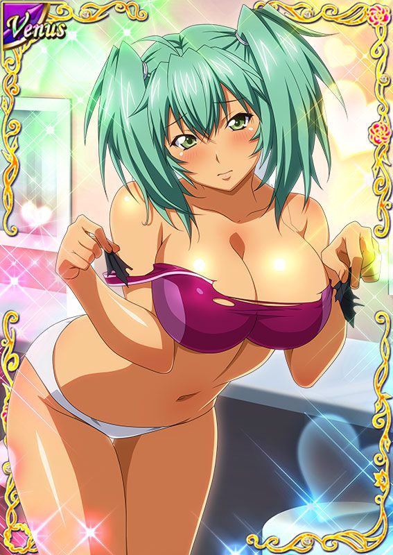 Ikkitousen Cards Coleccyion  Ryofu Housen set 461