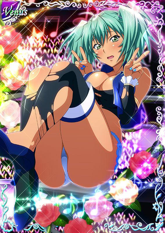 Ikkitousen Cards Coleccyion  Ryofu Housen set 463