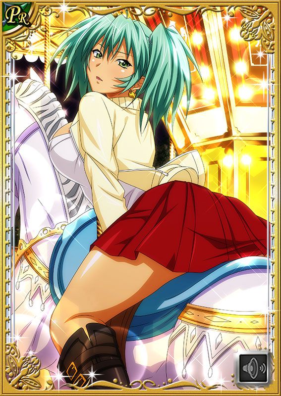 Ikkitousen Cards Coleccyion  Ryofu Housen set 464