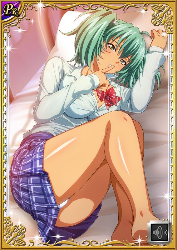 Ikkitousen Cards Coleccyion  Ryofu Housen set 471