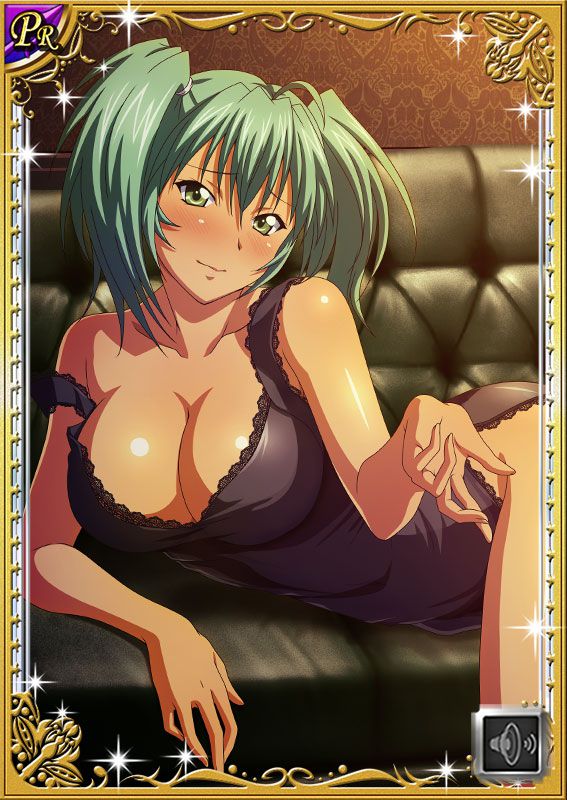 Ikkitousen Cards Coleccyion  Ryofu Housen set 475