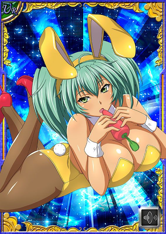 Ikkitousen Cards Coleccyion  Ryofu Housen set 479