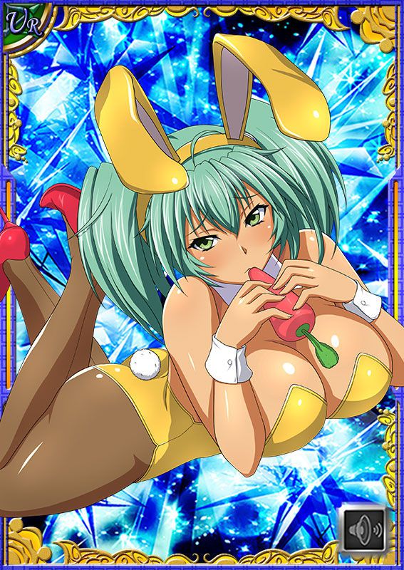 Ikkitousen Cards Coleccyion  Ryofu Housen set 480