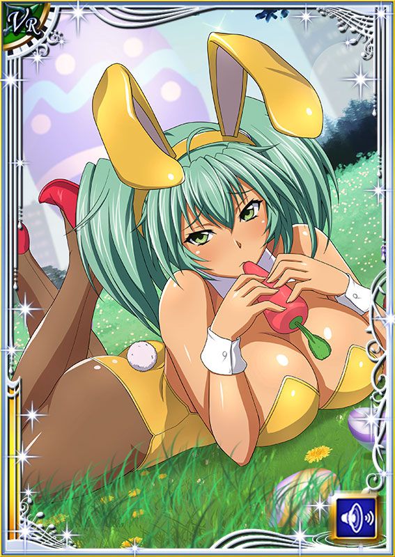 Ikkitousen Cards Coleccyion  Ryofu Housen set 481