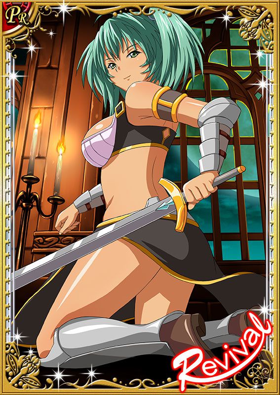 Ikkitousen Cards Coleccyion  Ryofu Housen set 483