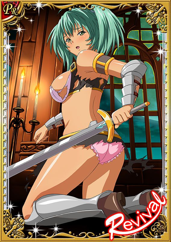 Ikkitousen Cards Coleccyion  Ryofu Housen set 484