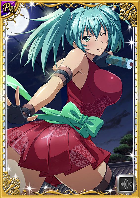 Ikkitousen Cards Coleccyion  Ryofu Housen set 485