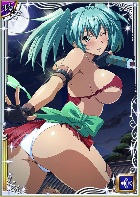 Ikkitousen Cards Coleccyion  Ryofu Housen set 487