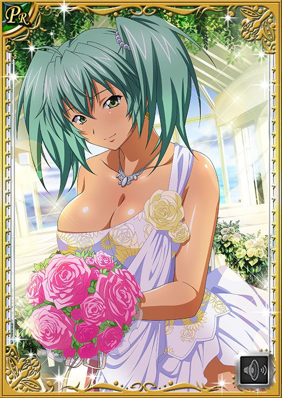 Ikkitousen Cards Coleccyion  Ryofu Housen set 488