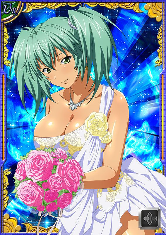 Ikkitousen Cards Coleccyion  Ryofu Housen set 489