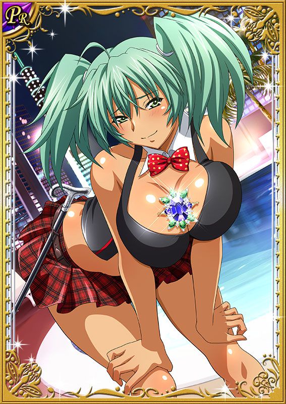 Ikkitousen Cards Coleccyion  Ryofu Housen set 49