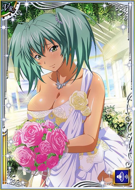 Ikkitousen Cards Coleccyion  Ryofu Housen set 490