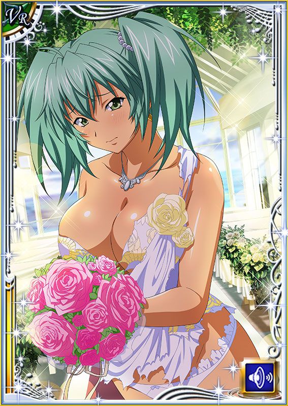 Ikkitousen Cards Coleccyion  Ryofu Housen set 491