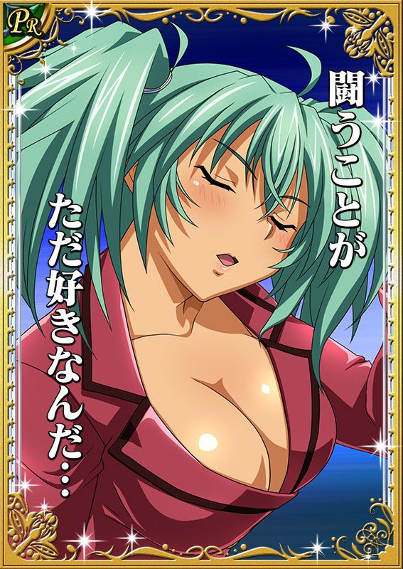 Ikkitousen Cards Coleccyion  Ryofu Housen set 492