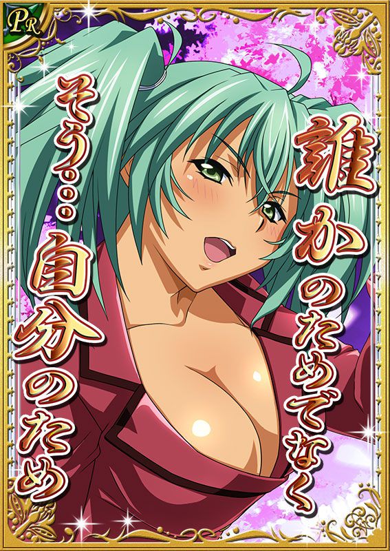 Ikkitousen Cards Coleccyion  Ryofu Housen set 493