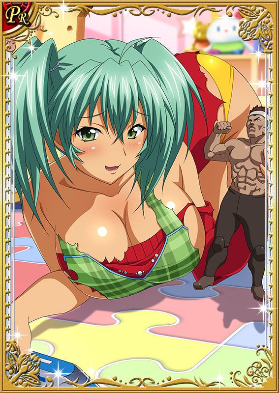 Ikkitousen Cards Coleccyion  Ryofu Housen set 495