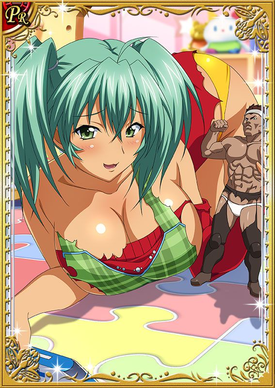 Ikkitousen Cards Coleccyion  Ryofu Housen set 496