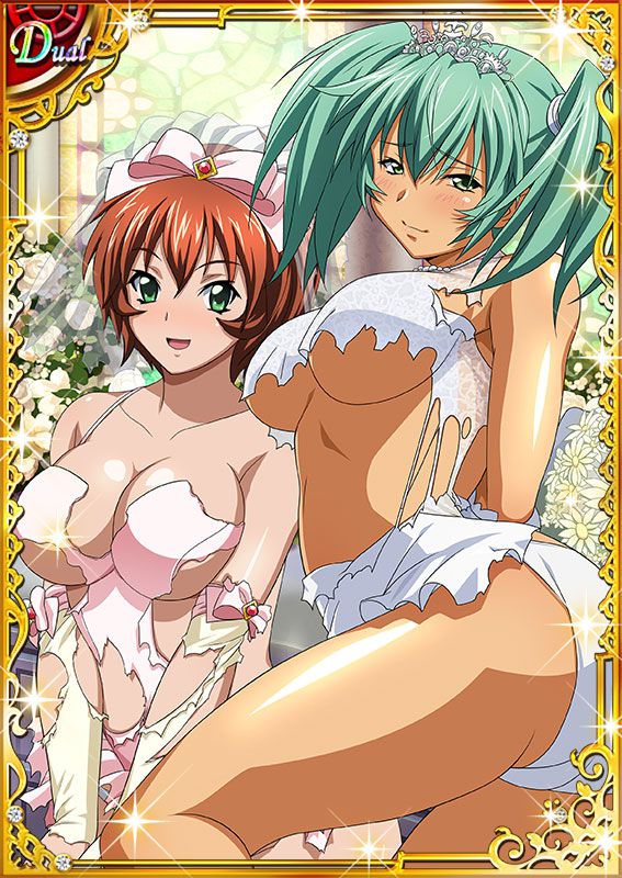 Ikkitousen Cards Coleccyion  Ryofu Housen set 498