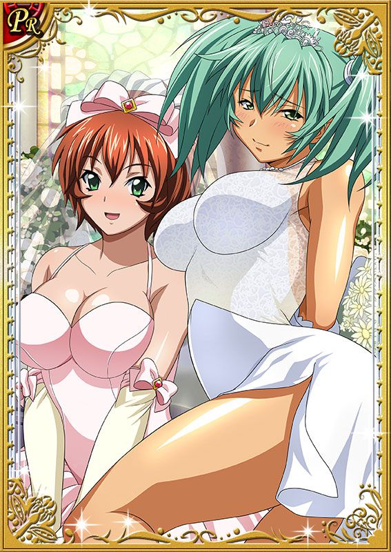 Ikkitousen Cards Coleccyion  Ryofu Housen set 499