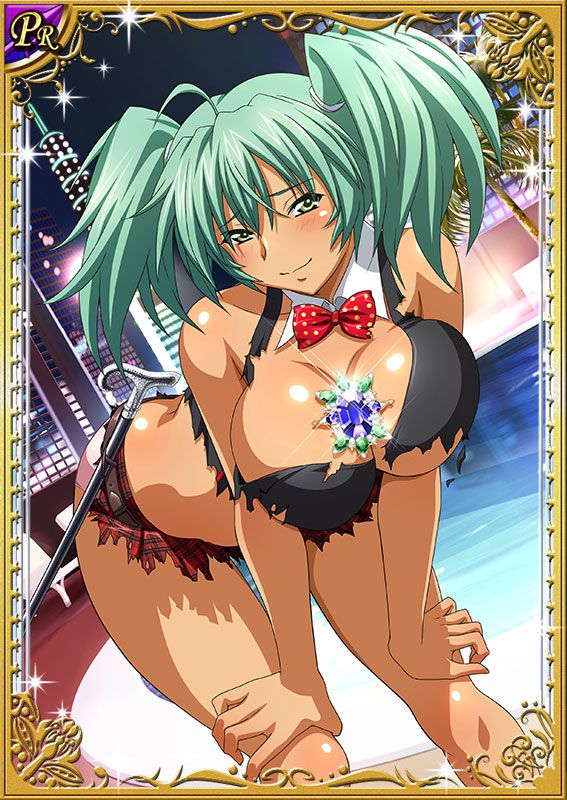 Ikkitousen Cards Coleccyion  Ryofu Housen set 50