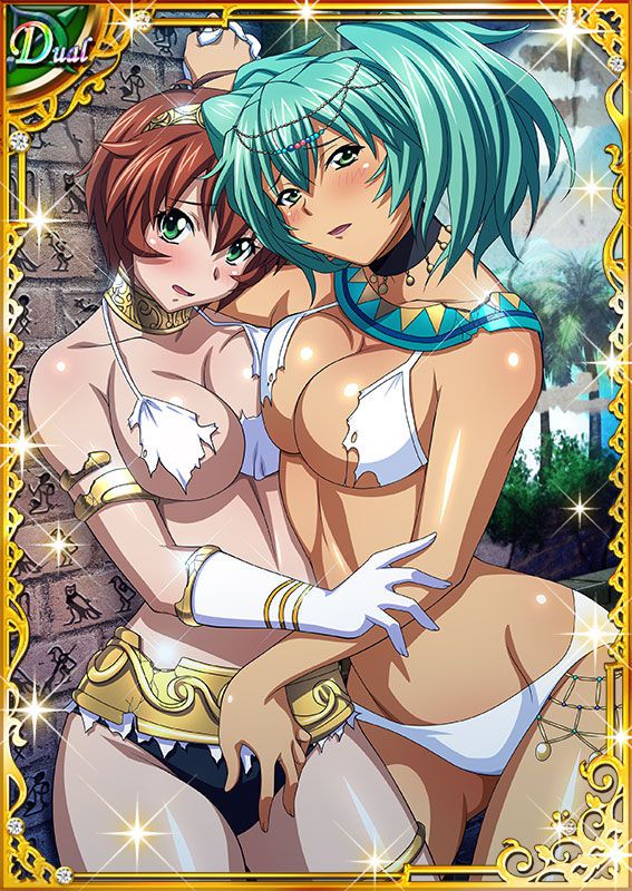 Ikkitousen Cards Coleccyion  Ryofu Housen set 500