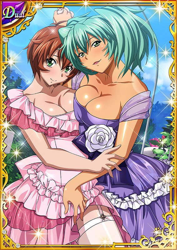 Ikkitousen Cards Coleccyion  Ryofu Housen set 502