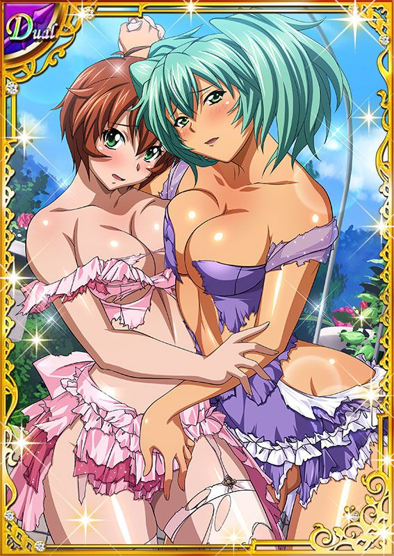 Ikkitousen Cards Coleccyion  Ryofu Housen set 503