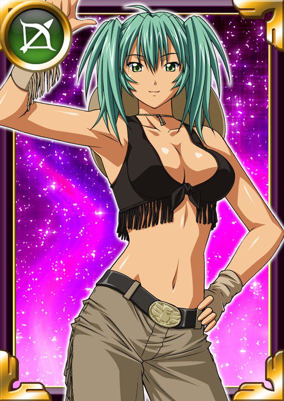 Ikkitousen Cards Coleccyion  Ryofu Housen set 504