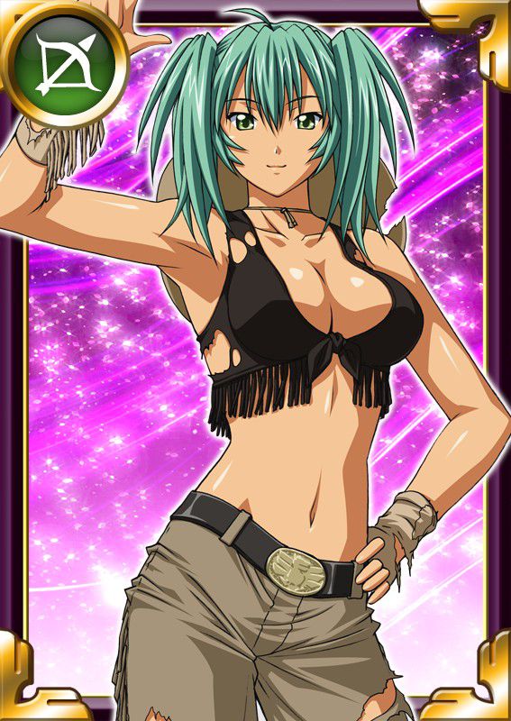 Ikkitousen Cards Coleccyion  Ryofu Housen set 505