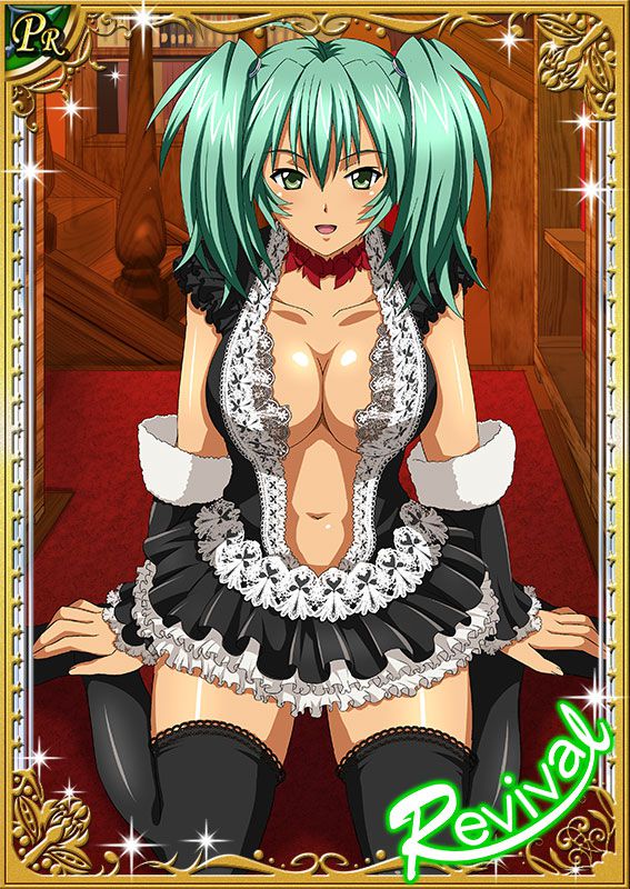 Ikkitousen Cards Coleccyion  Ryofu Housen set 506