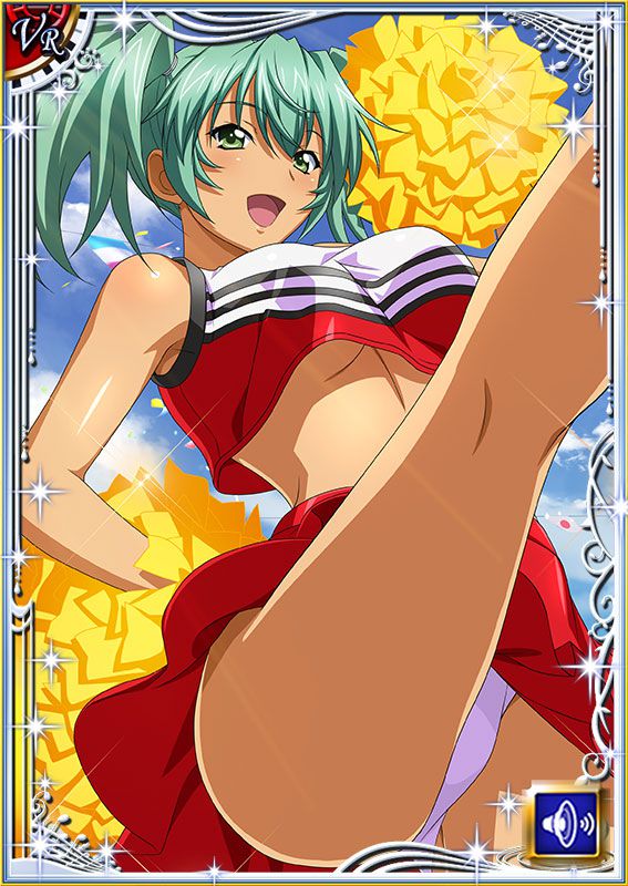 Ikkitousen Cards Coleccyion  Ryofu Housen set 508