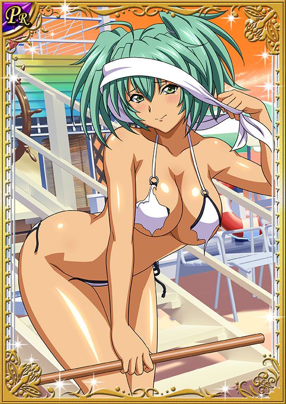 Ikkitousen Cards Coleccyion  Ryofu Housen set 510