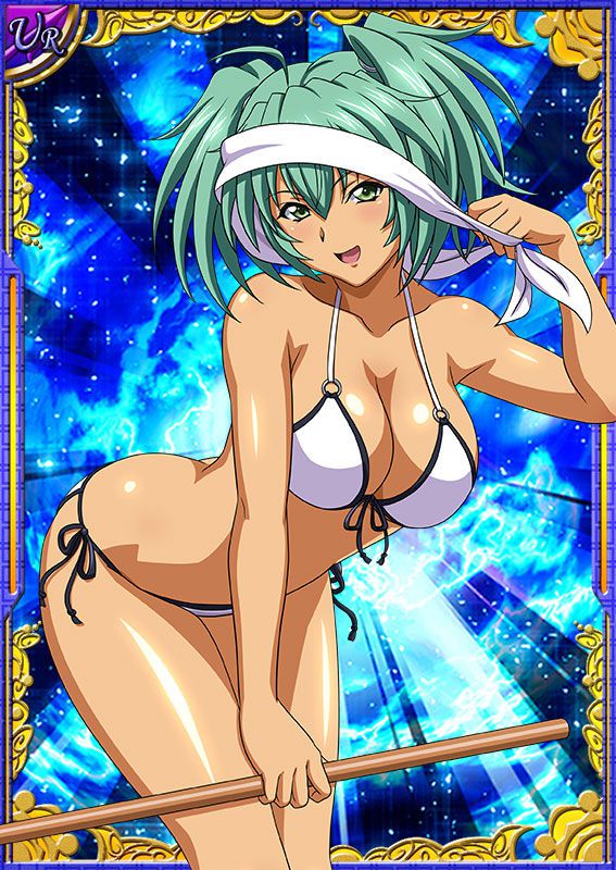 Ikkitousen Cards Coleccyion  Ryofu Housen set 511