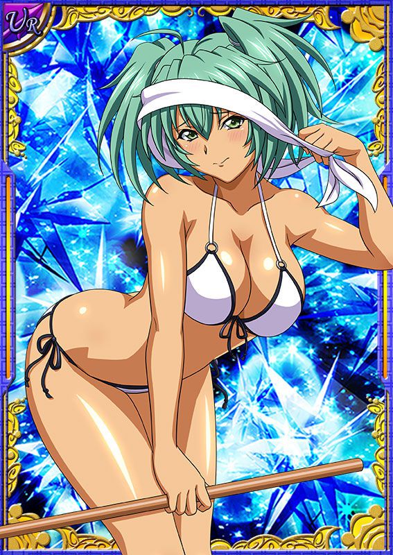 Ikkitousen Cards Coleccyion  Ryofu Housen set 512