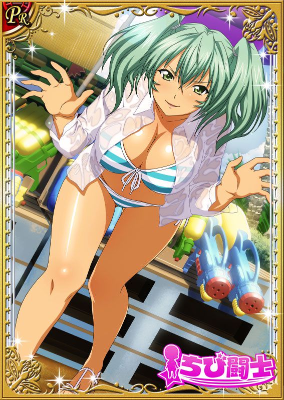 Ikkitousen Cards Coleccyion  Ryofu Housen set 513