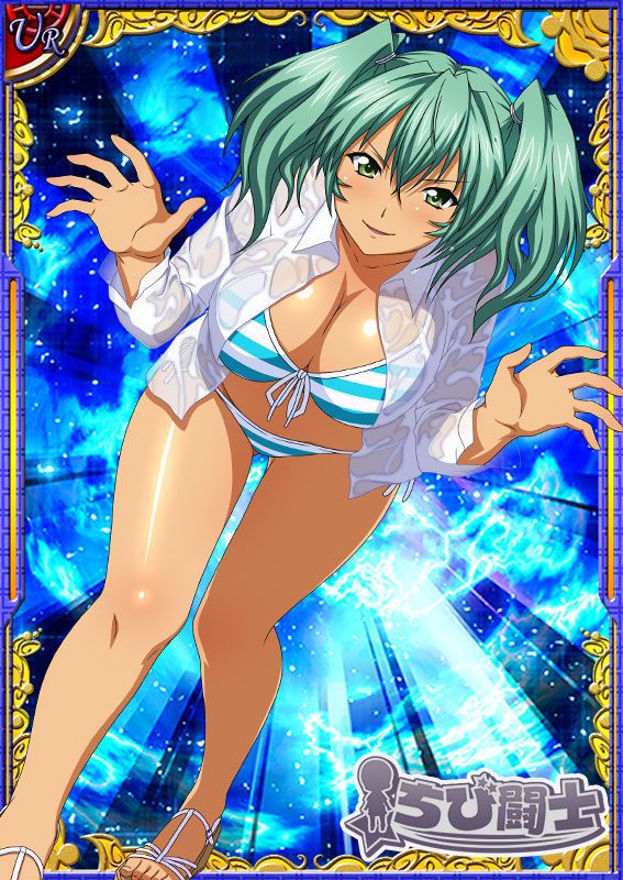 Ikkitousen Cards Coleccyion  Ryofu Housen set 515