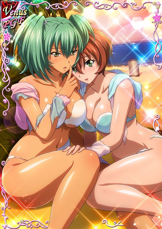 Ikkitousen Cards Coleccyion  Ryofu Housen set 517