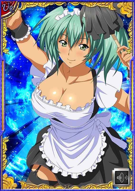 Ikkitousen Cards Coleccyion  Ryofu Housen set 520