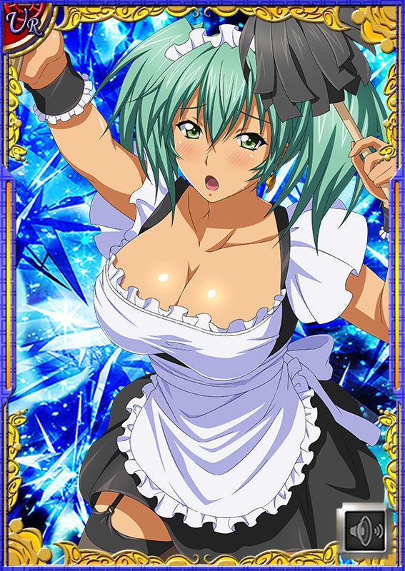 Ikkitousen Cards Coleccyion  Ryofu Housen set 521