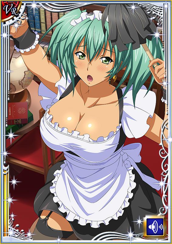 Ikkitousen Cards Coleccyion  Ryofu Housen set 522