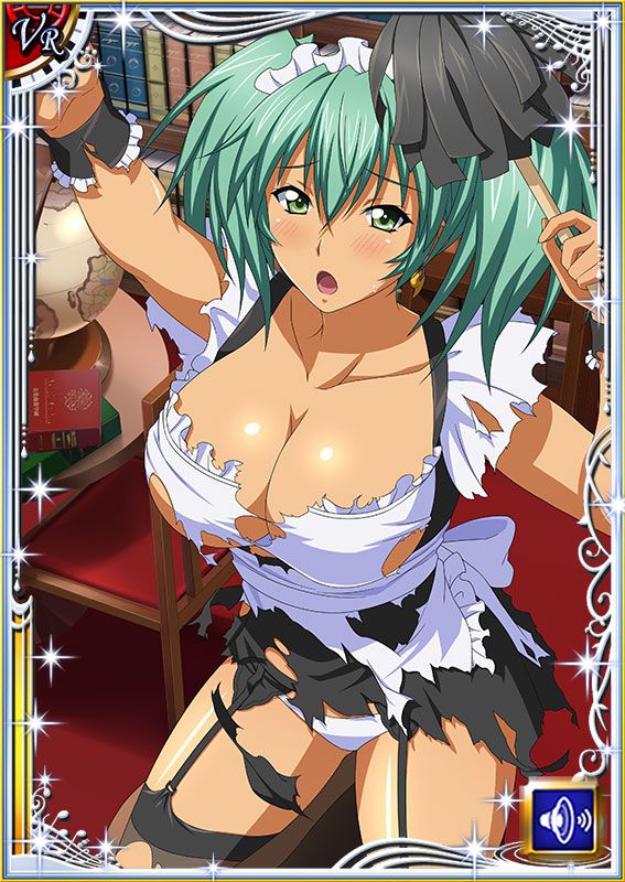 Ikkitousen Cards Coleccyion  Ryofu Housen set 523