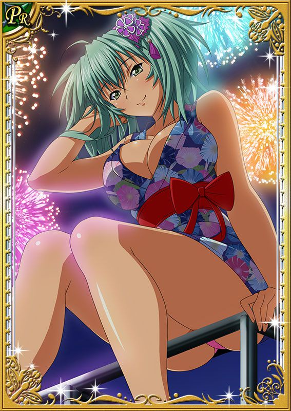 Ikkitousen Cards Coleccyion  Ryofu Housen set 528