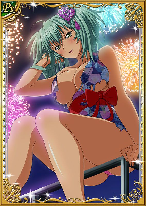 Ikkitousen Cards Coleccyion  Ryofu Housen set 529