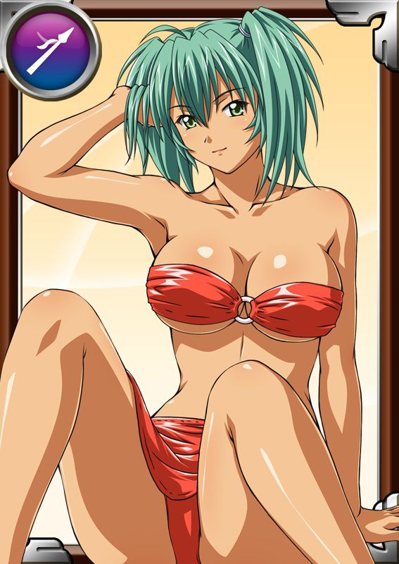 Ikkitousen Cards Coleccyion  Ryofu Housen set 53