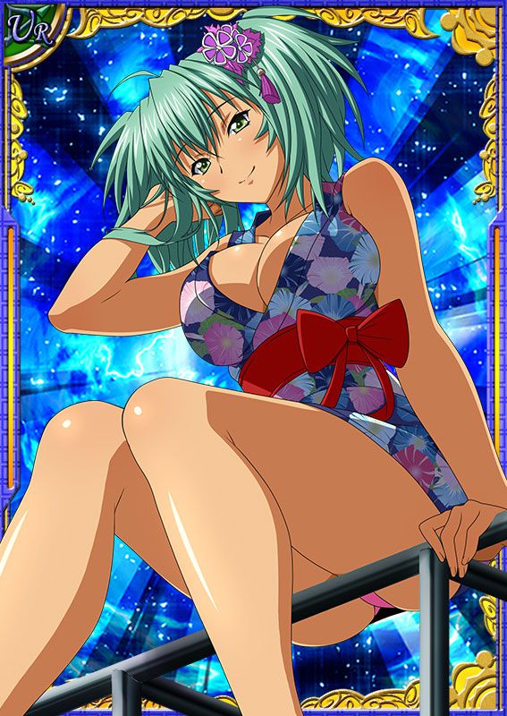 Ikkitousen Cards Coleccyion  Ryofu Housen set 530