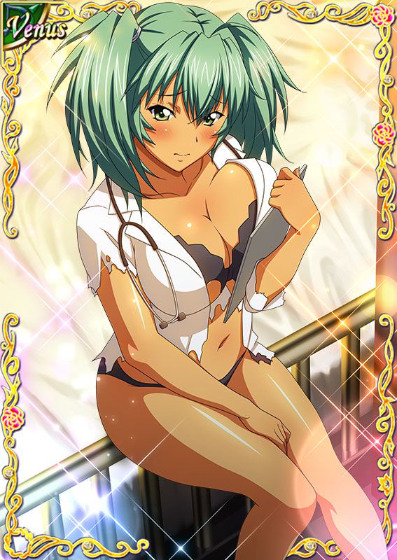 Ikkitousen Cards Coleccyion  Ryofu Housen set 534